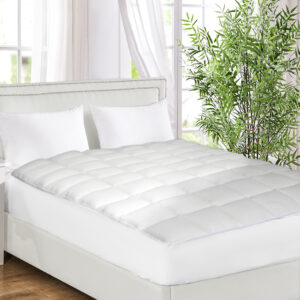 Single Mattress Protector